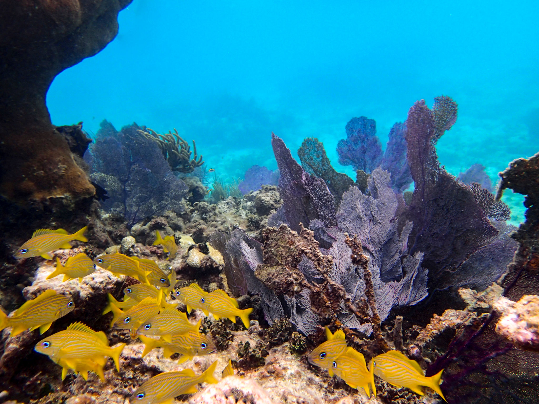 snorkeling puerto rico