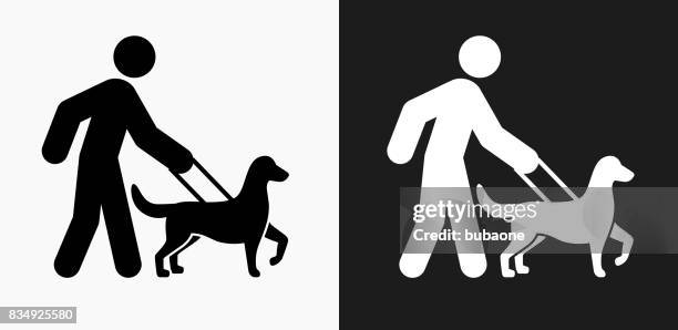 stick figure walking dog icon on black and white vector backgrounds - walking dog stock illustrations