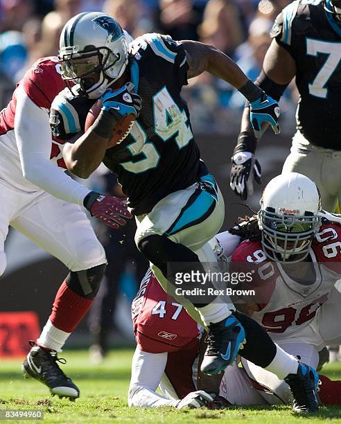 DeAngelo Williams of the Carolina Panthers carries against the Arizona Cardinals at Bank of America Stadium on October 26, 2008 in Charlotte, North...