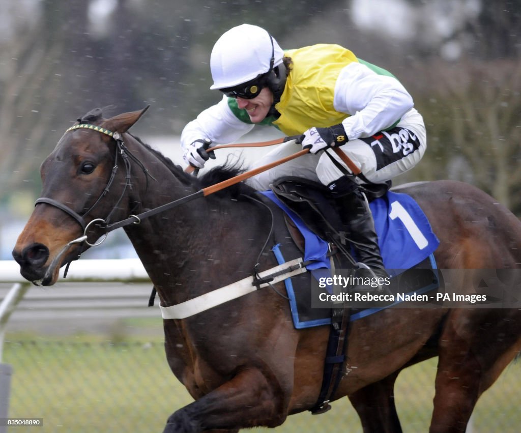 Horse Racing - Beer and Balti Race Day - Fontwell Park Racecourse