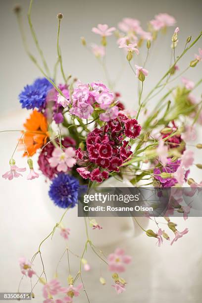 bouquet of spring flowers - rosanne olson stockfoto's en -beelden