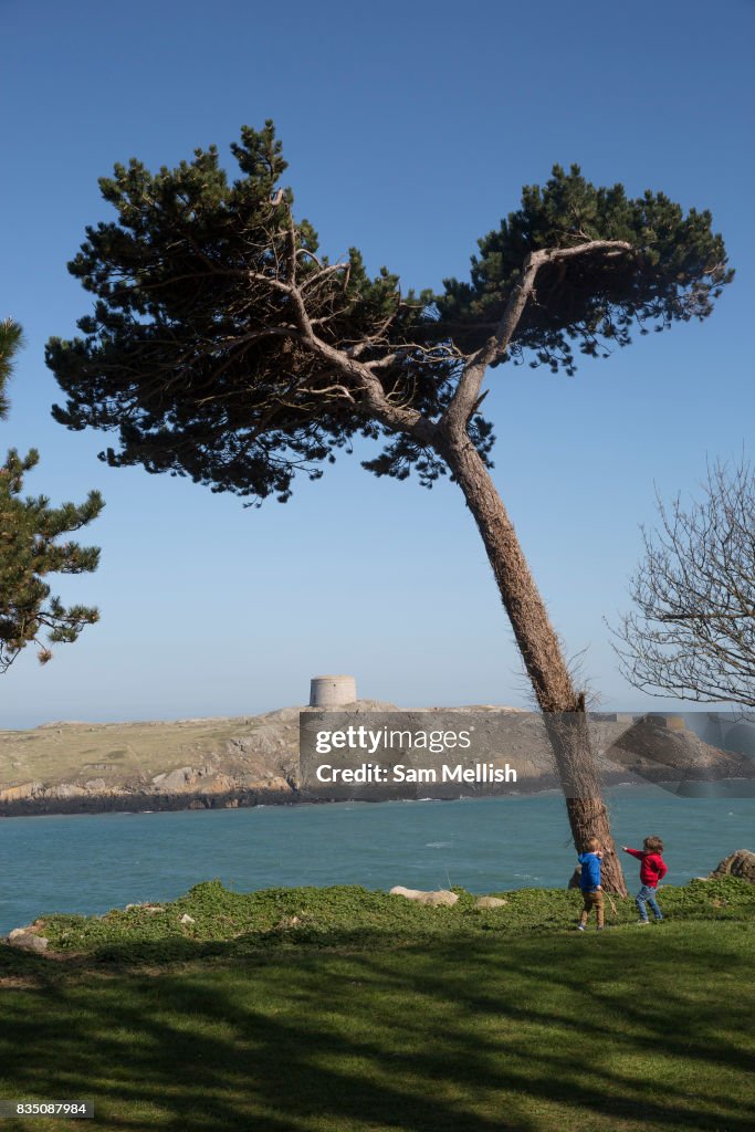 Dillons Park Overlooking Dalkey Island