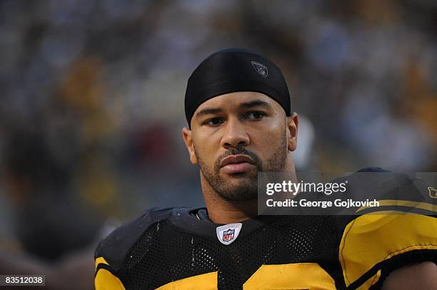 Linebacker Larry Foote of the Pittsburgh Steelers looks on from the sideline during a game against the New York Giants at Heinz Field on October 26,...