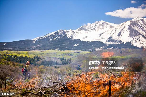 mountain wildfire fighter. - glen haven co stock pictures, royalty-free photos & images