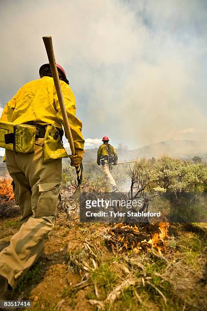 colorado wildfire fighters with pickaxes. - fireman axe stock pictures, royalty-free photos & images