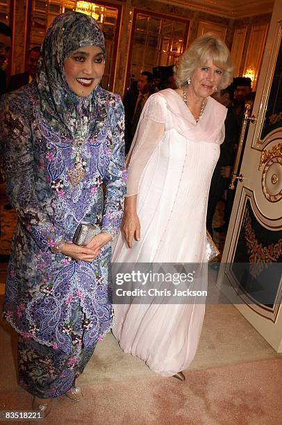 Camilla, Duchess of Cornwall and Her Royal Highness Pengiran Isteri Azrinaz attend a Banquet at the Royal Palace on October 31, 2008 in Bandar Seri...