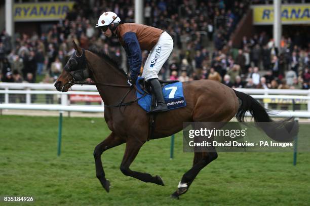 325 Raslan Stock Photos, High-Res Pictures, and Images - Getty Images