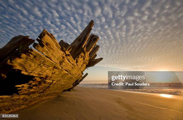 skeleton coast shipwreck, namibia - épave de bateau photos et images de collection