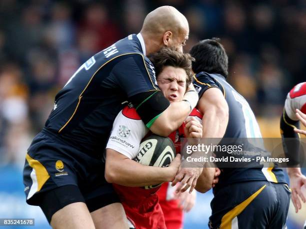 313 Dale Rasmussen Photos & High Res Pictures - Getty Images