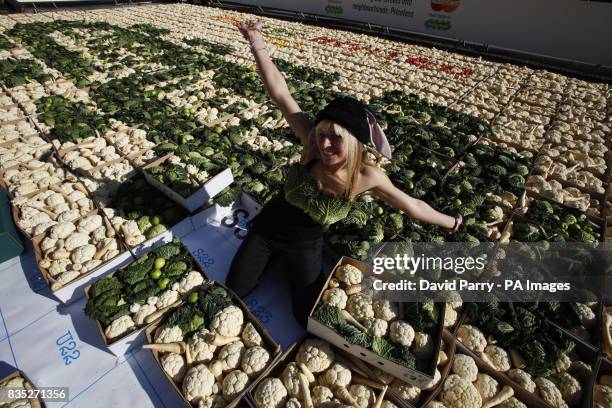 Volunteer Anne Bengard helps to make a 2,000 square foot invitation using forty-three thousand seasonal fruit, flowers and vegetables, in Covent...