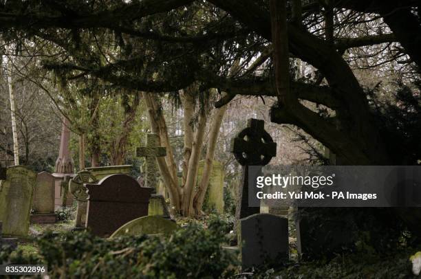 View of Highgate Cemetery East in Highgate, north London.