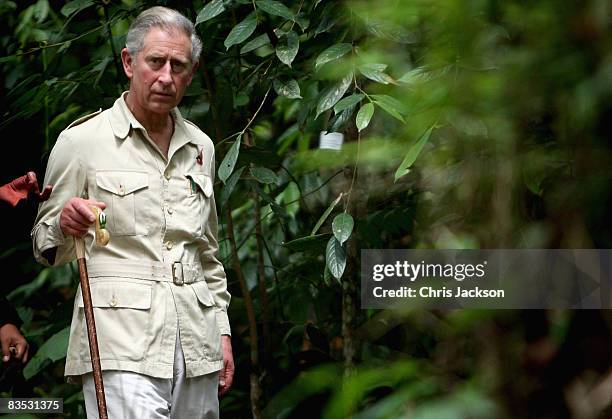 Prince Charles, Prince of Wales tours the Harapan Rainforest Project on November 2, 2008 in Jambi, Indonesia. Prince Charles, Prince of Wales and...