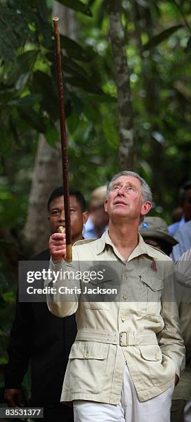 Prince Charles, Prince of Wales tours the Harapan Rainforest Project on November 2, 2008 in Jambi, Indonesia. Prince Charles, Prince of Wales and...