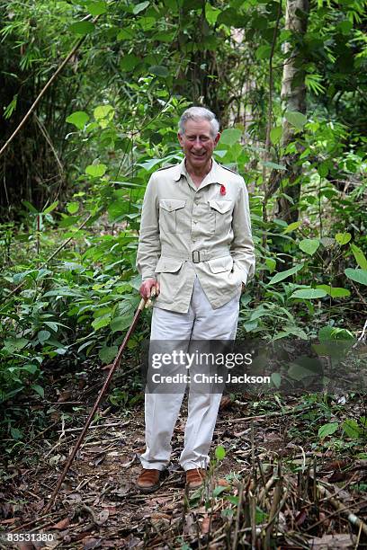 Prince Charles, Prince of Wales tours the Harapan Rainforest Project on November 2, 2008 in Jambi, Indonesia. Prince Charles, Prince of Wales and...