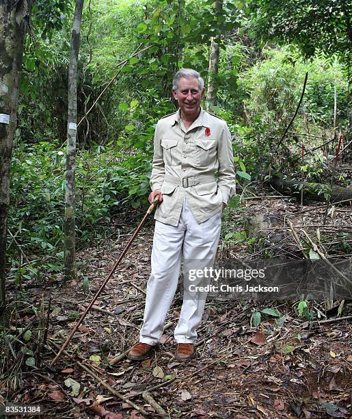 Prince Charles, Prince of Wales tours the Harapan Rainforest Project on November 2, 2008 in Jambi, Indonesia. Prince Charles, Prince of Wales and...