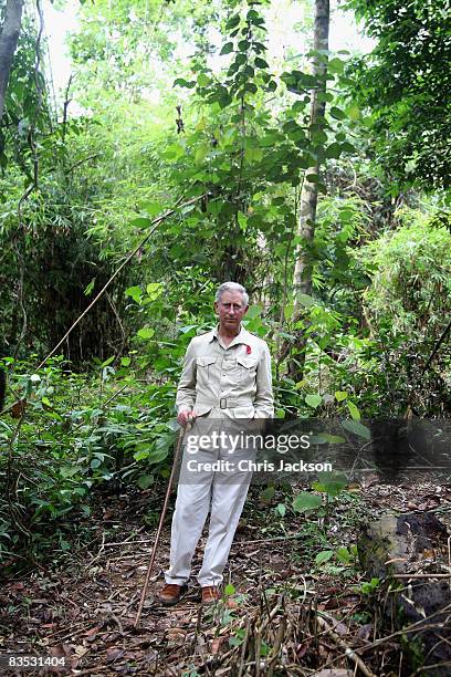 Prince Charles, Prince of Wales tours the Harapan Rainforest Project on November 2, 2008 in Jambi, Indonesia. Prince Charles, Prince of Wales and...