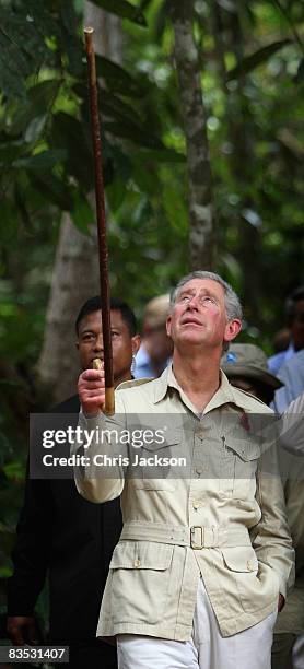 Prince Charles, Prince of Wales tours the Harapan Rainforest Project on November 2, 2008 in Jambi, Indonesia. Prince Charles, Prince of Wales and...