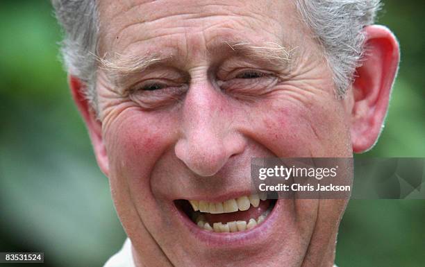 Prince Charles, Prince of Wales laughs as he tours the Harapan Rainforest Project on November 2, 2008 in Jambi, Indonesia. Prince Charles, Prince of...