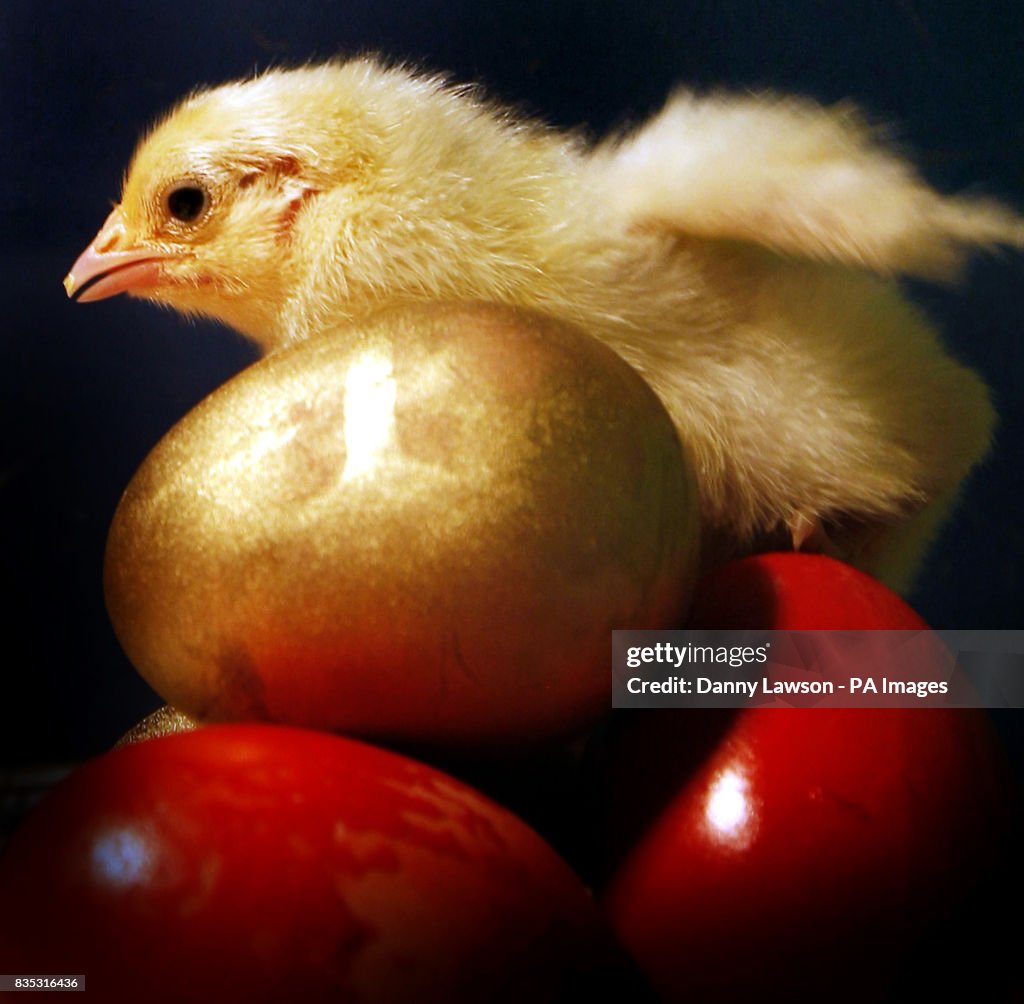 Easter weekend celebrations