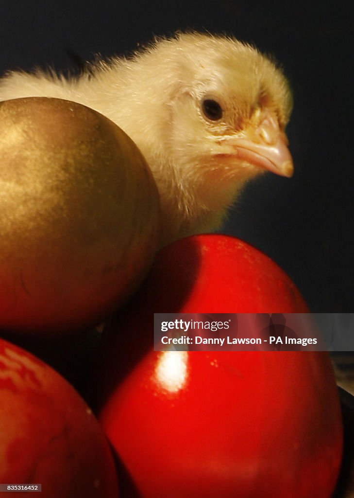 Easter weekend celebrations