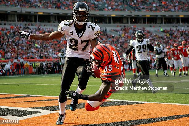 Chad Johnson of the Cincinnati Bengals catches a pass for a touchdown against Rashean Mathis of the Jacksonville Jaguars at Paul Brown Stadium...