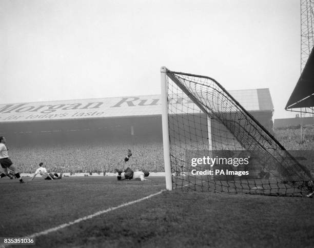 605 Springett Stock Photos, High-Res Pictures, and Images - Getty Images