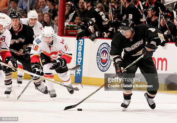 Teemu Selanne of the Anaheim Ducks controls the puck away from Dustin Boyd of the Calgary Flames during the game on November 2, 2008 at Honda Center...