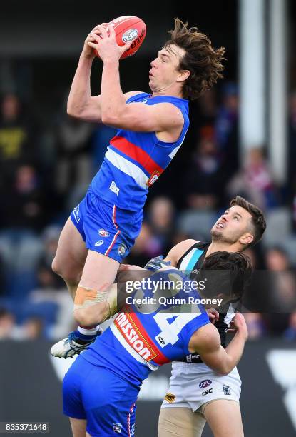 Liam Picken of the Bulldogs marks during the round 22 AFL match between the Western Bulldogs and the Port Adelaide Power at Mars Stadium on August...