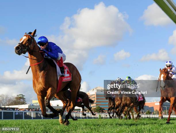 Craig Williams riding Hartnell wins Race 7, P.B. Lawrence Stakes during Melbourne Racing at Caulfield Racecourse on August 19, 2017 in Melbourne,...