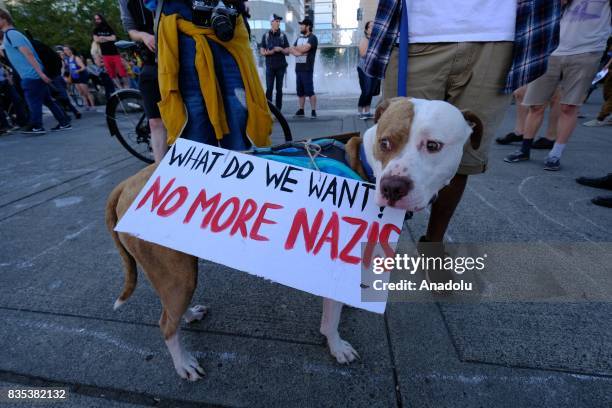 Dog is seen during a rally on the waterfront in Portland, Ore., United States, on August 18 to show solidarity against hate with Charlottesville Va.,...