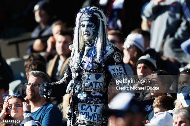 Cats fan shows his support during the round 22 AFL match between the Collingwood Magpies and the Geelong Cats at Melbourne Cricket Ground on August...