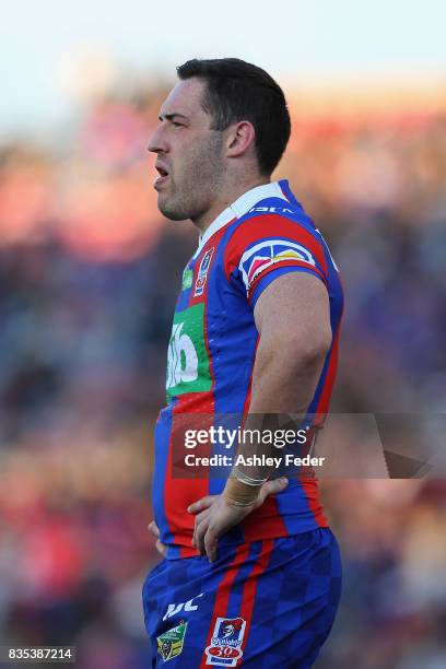 Joe Wardle of the Knights looks on during the round 24 NRL match between the Newcastle Knights and the Melbourne Storm at McDonald Jones Stadium on...