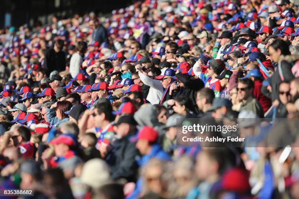 Knights fan support their team during the round 24 NRL match between the Newcastle Knights and the Melbourne Storm at McDonald Jones Stadium on...