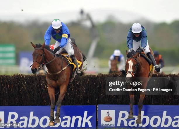 Equus Maximus ridden by Ruby Walsh jumps the last ahead of Tranquil Sea ridden by David Cox on the way to winning the betfair novice handicap...