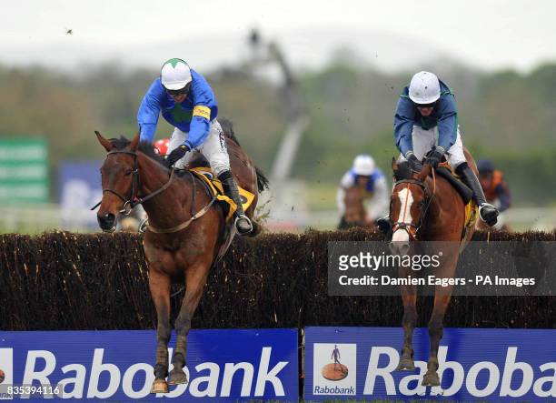 Equus Maximus ridden by Ruby Walsh jumps the last ahead of Tranquil Sea ridden by David Cox on the way to winning the betfair novice handicap...