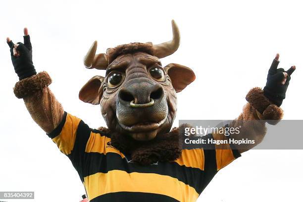 Taranaki mascot, Ferdinand the Bull , during the round one Mitre 10 Cup match between Taranaki and Waikato at Yarrow Stadium on August 19, 2017 in...