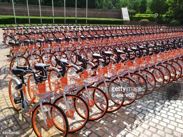 The customized shared bicycles with slogans that eulogize China are seen lined up on the street at Futian District on August 19, 2017 in Shenzhen,...