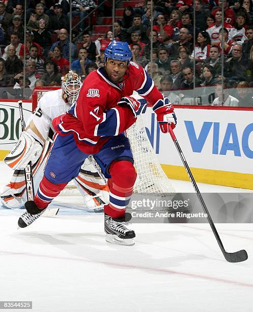 Georges Laraque of the Montreal Canadiens skates against the Anaheim Ducks at the Bell Centre on October 25, 2008 in Montreal, Quebec, Canada.