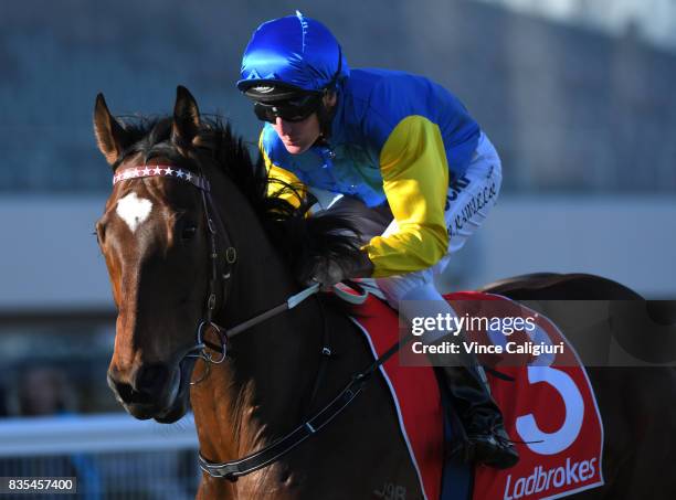 Brad Rawiller riding Black Heart Bart heads to the start of Race 7, P.B. Lawrence Stakes during Melbourne Racing at Caulfield Racecourse on August...