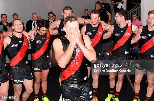 The Bombers celebrate their victory after the round 22 AFL match between the Gold Coast Suns and the Essendon Bombers at Metricon Stadium on August...