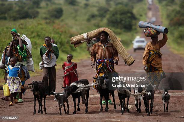 Internally Displaced People walk the road to Kibumba, on November 3, 2008 outside of Goma, in the Democratic Republic of Congo . A UN convoy carrying...