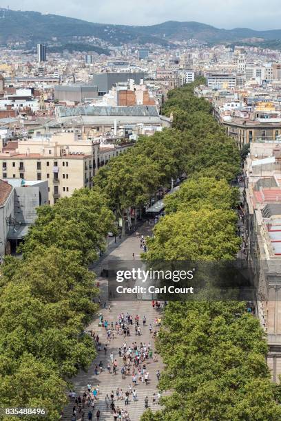 Trees line the Las Ramblas throughfare, on August 19, 2017 in Barcelona, Spain. A nationwide manhunt continues for Younes Abouyaaqoub, now named by...