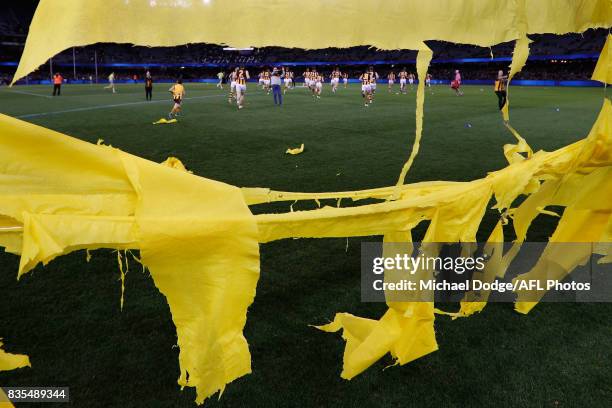 Hawks players run thrugh their banner during the round 22 AFL match between the Carlton Blues and the Hawthorn Hawks at Etihad Stadium on August 19,...