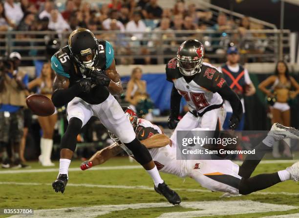 Allen Robinson of the Jacksonville Jaguars attempts a reception during a preseason game against the Tampa Bay Buccaneers at EverBank Field on August...