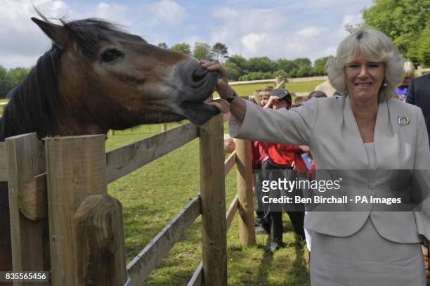 The Duchess of Cornwall with Burt the pony during her visit to the Exmoor Pony Centre in Exmoor, Somerset.
