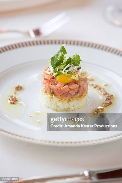 close-up of a fresh salmon appetizer - amanda salmon fotografías e imágenes de stock