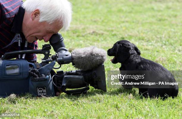 Copper a nine week old Cocker Spaniel investigates a TV camera microphone during a photocall where the spaniel was handed over to the charity, Cancer...