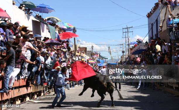 Man performs a pass at a bull during the Festival of Huamantlada in Huamantla, Tlaxcala, Mexico on August 19, 2017. The festival consists of the...