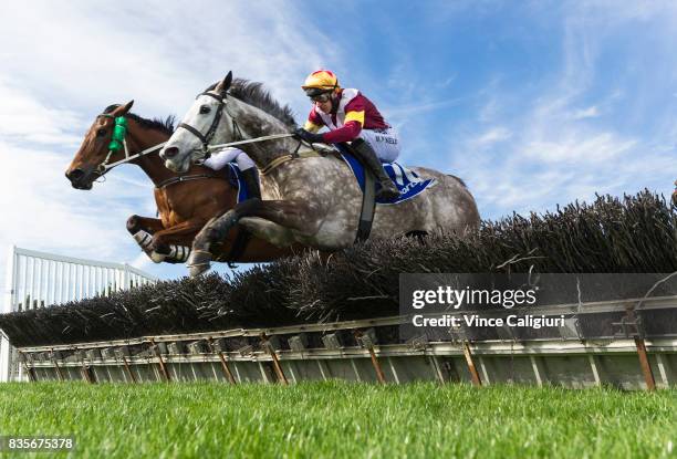 Arron Lynch riding Shez Eltraordinary jumps the 2nd Last hurdle with Martin Kelly riding Marilisa before winning Race 2 City of Ballarat Maiden...