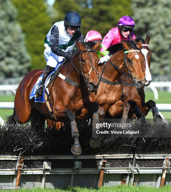 Tom Ryan riding Dane Hussler wins Race 3 Maiden Hurdle during The Grand National Steeple Day on August 20, 2017 in Ballarat, Australia.